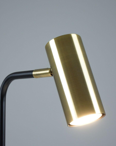 Настольная лампа Moderli Fine V11002-TL