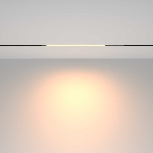 Трековый светильник Maytoni Technical TR231-2-10W3K-B