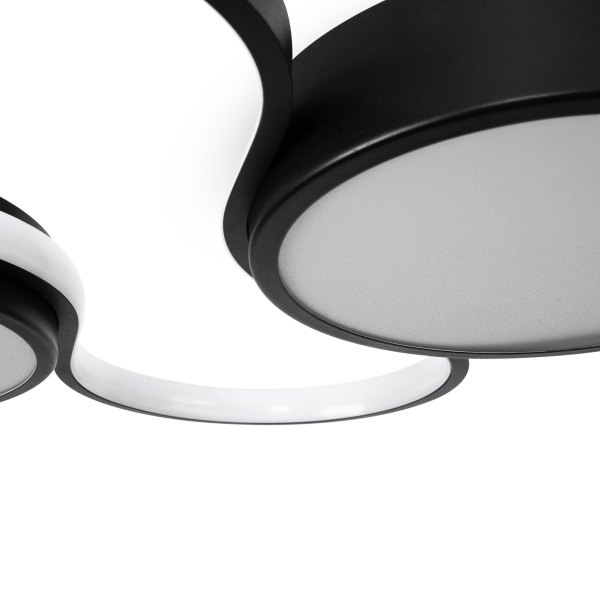 Потолочная люстра Freya Cosmic FR10015CL-L63B