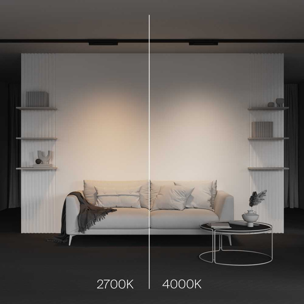 Трековый светодиодный светильник Maytoni Technical Basis TR196-3-10W4K-B