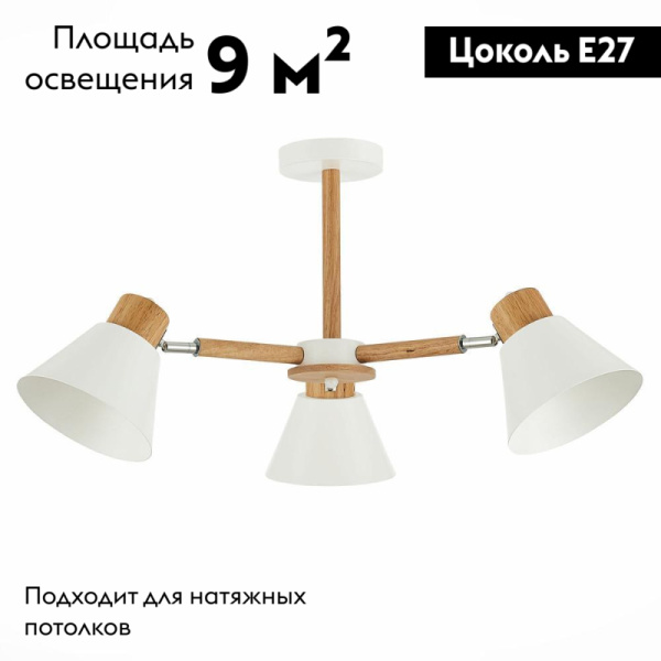Потолочная люстра Evoluce Buve SLE103702-03
