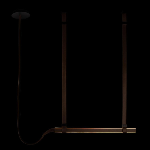 Подвесной светодиодный светильник Loft IT Strong 10241/1000