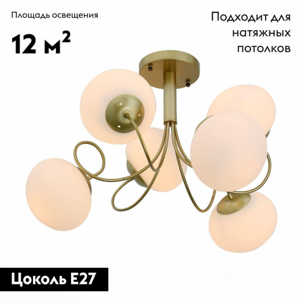 Потолочная люстра Evoluce Acini SL717.202.06