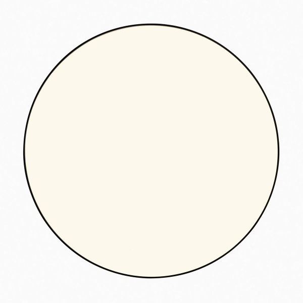 Потолочный светодиодный светильник Citilux Bart CL755391