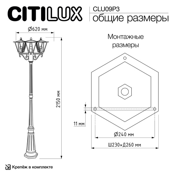 Садово-парковый светильник Citilux Forts CLU09P3