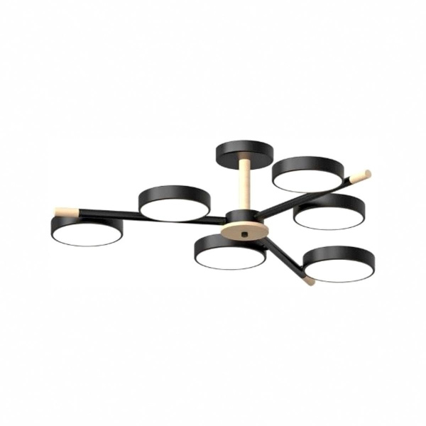 Потолочный cветильник LED4U L3208-800 BK