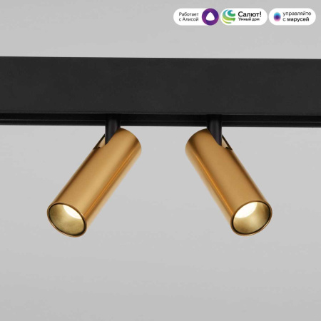 Трековый светодиодный светильник Elektrostandard Slim Magnetic Dim Dual 85056/01 латунь a063527