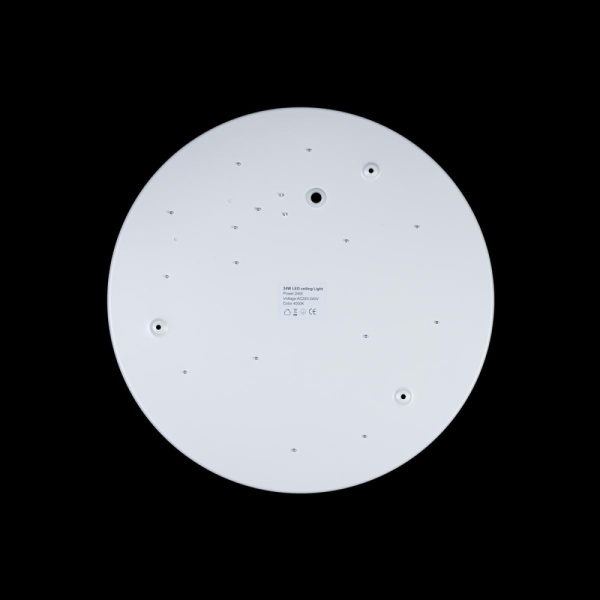 10003/24 White Светильник потолочный LOFTIT Axel, шт