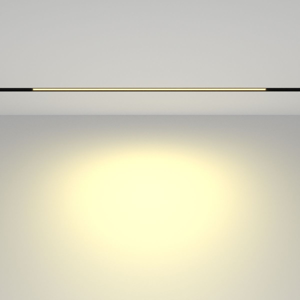 Трековый светодиодный светильник Maytoni Technical Basis TR030-2-24W2.7K-B