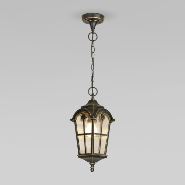 Уличный подвесной светильник Elektrostandard Mira a025299