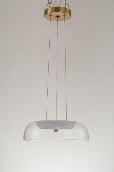 Подвесной светодиодный светильник Arti Lampadari Narbolia L 1.P4 CL