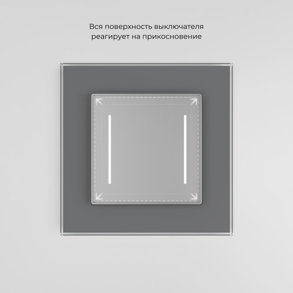 Сенсорный выключатель двухклавишный Werkel с подсветкой серебряный W4522006 4690389198038