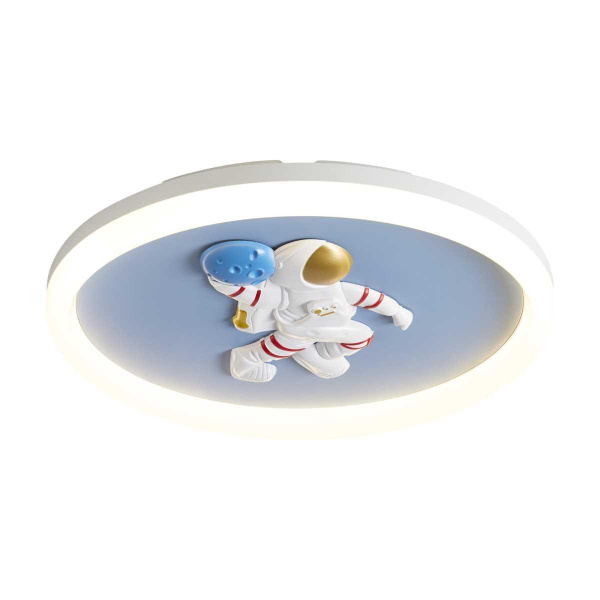 Потолочный светильник Freya Космический / Cosmic FR5457CL-L36B
