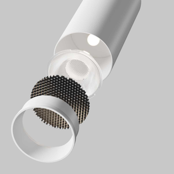 Потолочный светильник Maytoni Technical C055CL-L12W3K-SS-W