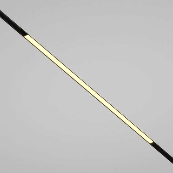 Трековый светодиодный светильник Maytoni Technical Basis TR030-2-30W2.7K-B