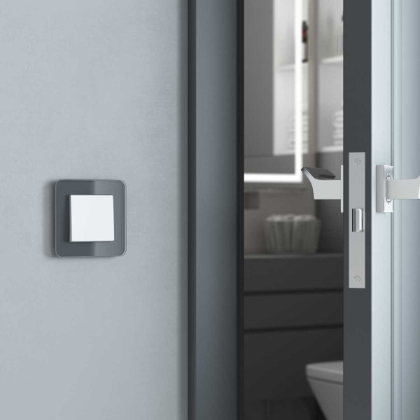 Перекрестный переключатель одноклавишный Werkel W1113061 4690389191831