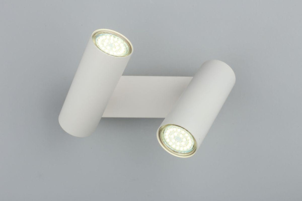 APL.004.01.02 Rein Спот