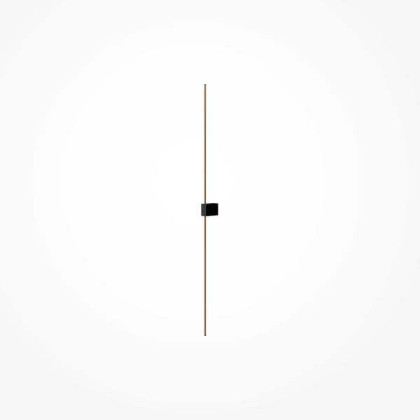 Настенный светильник Maytoni Technical Pars C071WL-L12GB3K