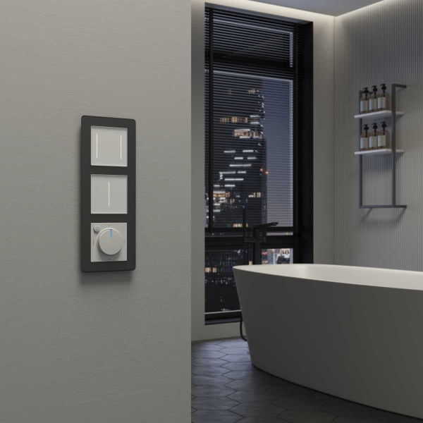 Сенсорный умный выключатель двуклавишный Werkel белый W4523001 4690389197949