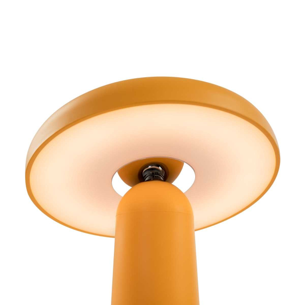 Настольная аккумуляторная лампа Freya Mushroom FR6109TL-L4OR
