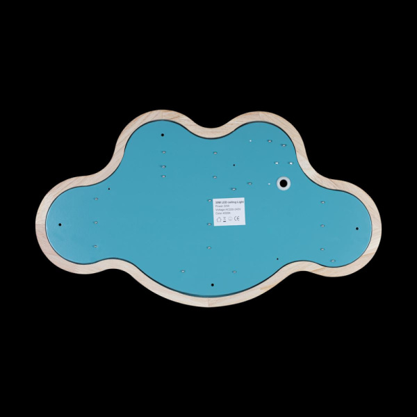 10005/30 Blue Светильник потолочный LOFTIT Axel, шт