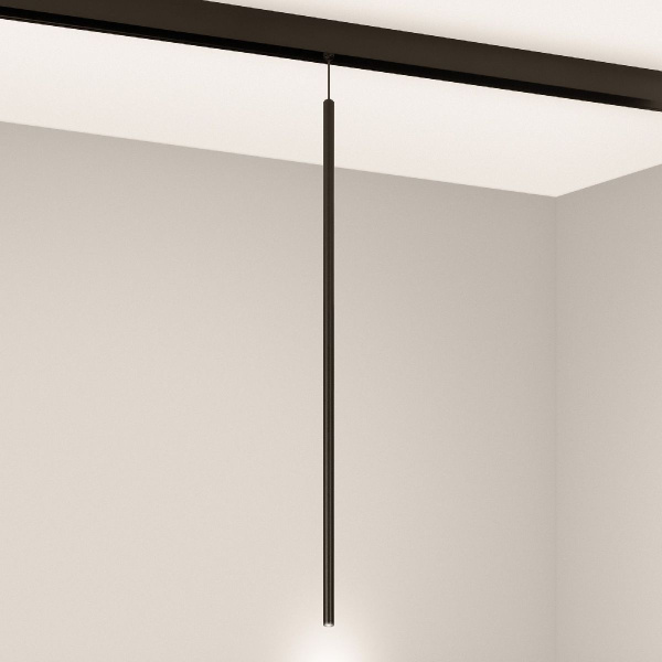Трековый светильник Arlight MAG-ORIENT-SPOT-HANG-L600-R12-2W Warm3000 044502