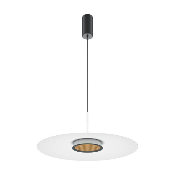 Подвесной светодиодный светильник Maytoni El MOD041PL-L15W3K1