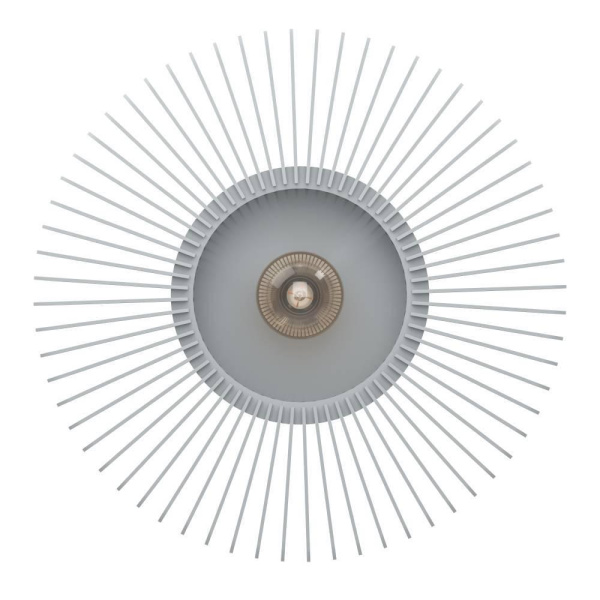 Потолочный светильник Eglo Palombaia 900832