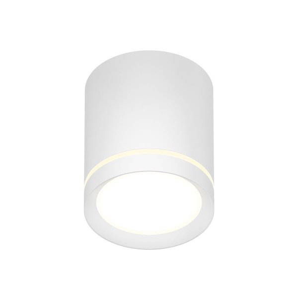 Накладной светодиодный светильник Denkirs Ribe DK4016-WH