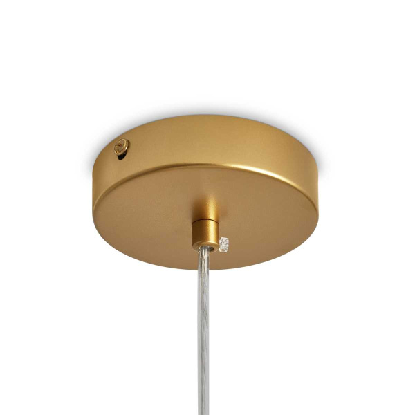 Подвесной светильник Freya Modern FR5528PL-01BS