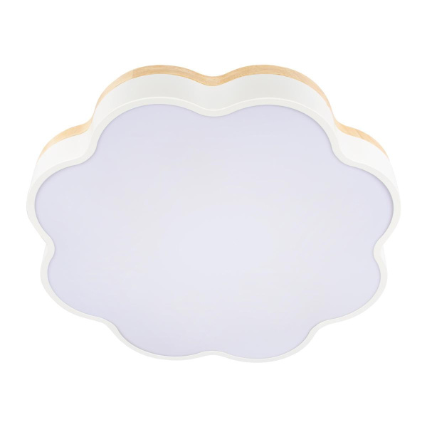 Потолочный светодиодный светильник Loft IT Axel 10225/36 White