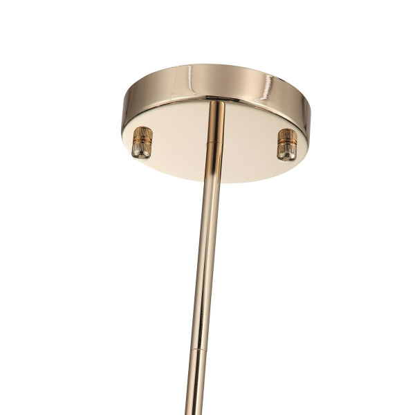 Подвесная люстра ST Luce Elegra SL1402.203.10
