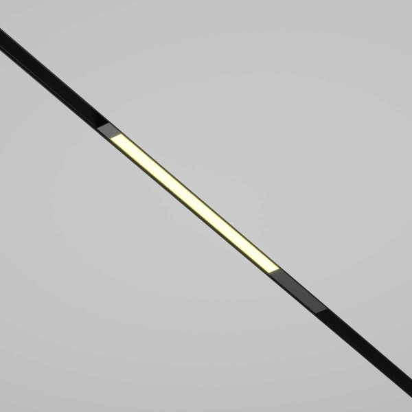 Трековый светильник Maytoni Technical TR231-2-10W3K-B