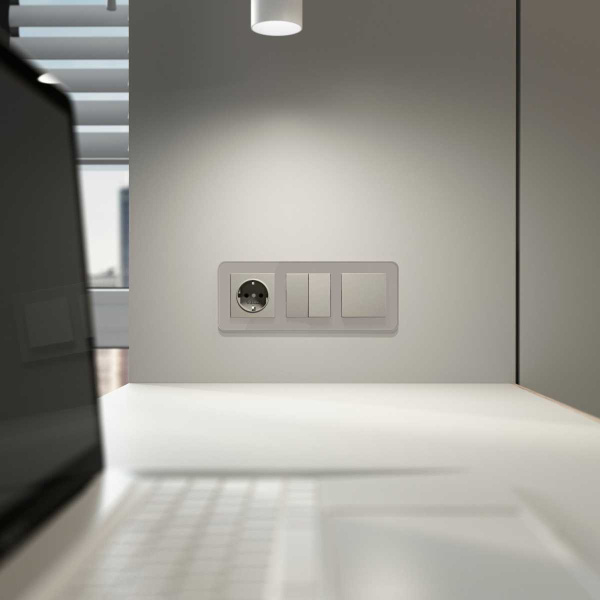 Перекрестный выключатель двухклавишный (дымчатый) W1223004/ a069460