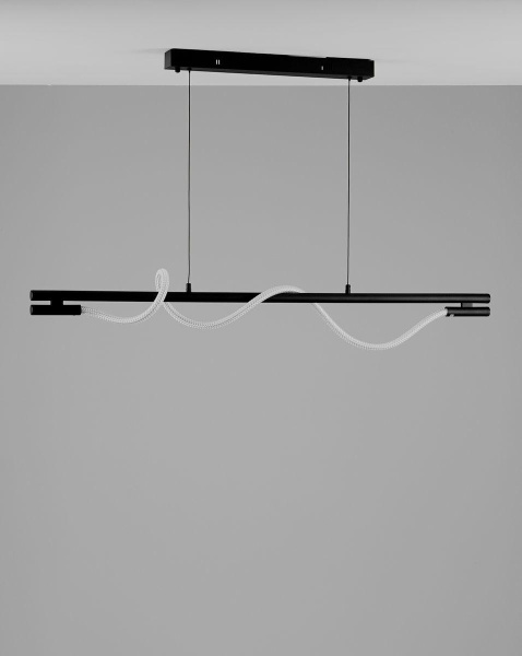 Подвесной светодиодный светильник Moderli True V10677-PL