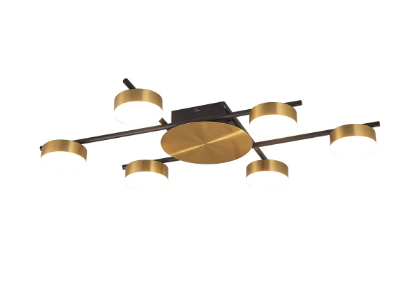 Светильник (NW) X1000A-DWS-6 BLACK+BRASS (1)
