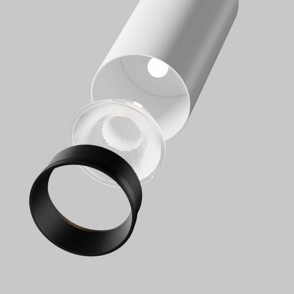 Потолочный светильник Maytoni Technical C055CL-L12W3K-SS-W