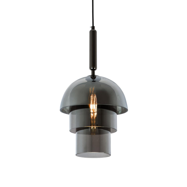 Подвесной светильник Modelux Modestyle MS.220.250 BK