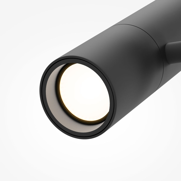 Трековый светодиодный светильник Maytoni Technical Magnetic Exility Elti Duo TR005-4-2X12W-DS-B