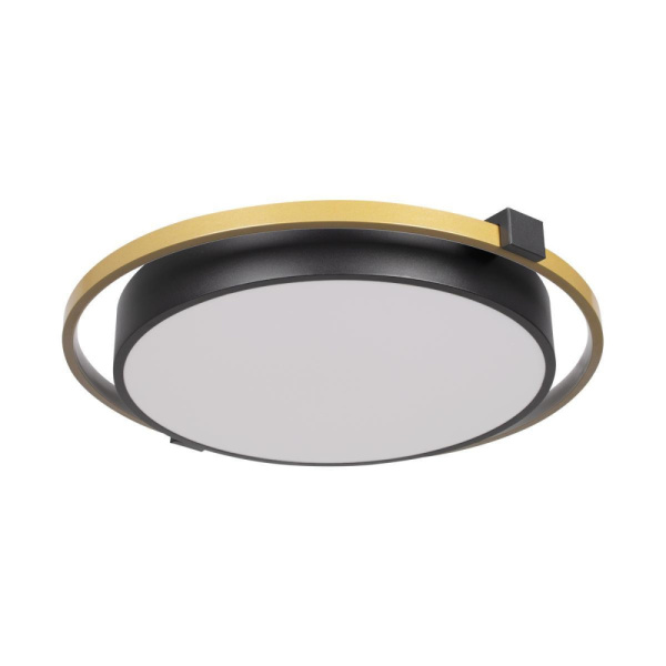 10170 Потолочный светильник LOFT IT Mike, шт