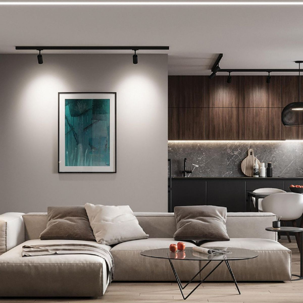 Трековый светодиодный светильник Feron MarketBright AL103 51003