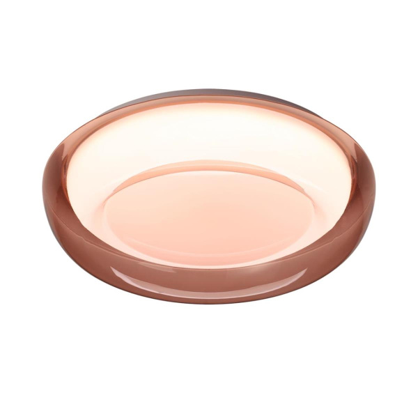 Настенно-потолочный светильник Sonex PORTMAN 7778/DLN