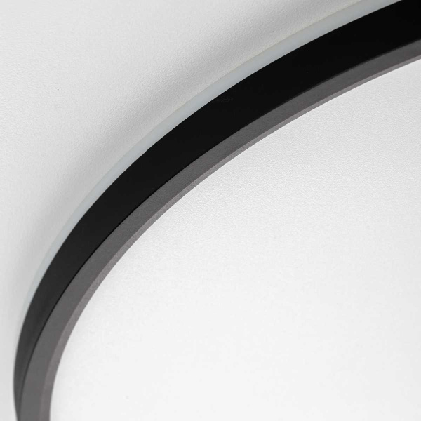 Потолочный светильник Citilux NORMA CL749501