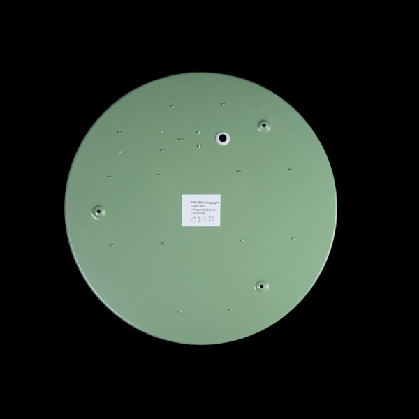 10003/24 Green Светильник потолочный LOFTIT Axel, шт
