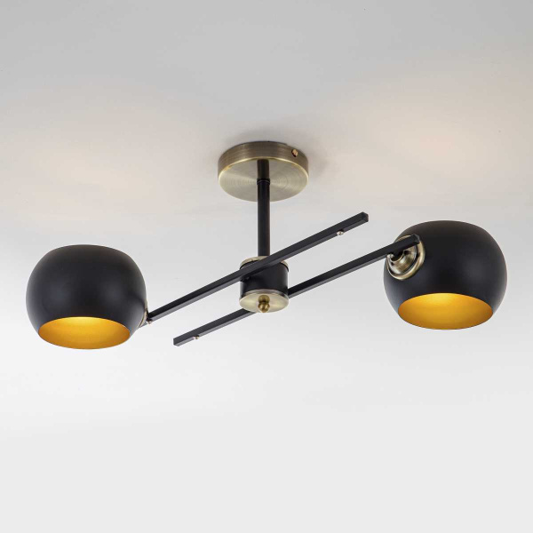 Потолочная люстра Modelux Modemodern MD.5171.2