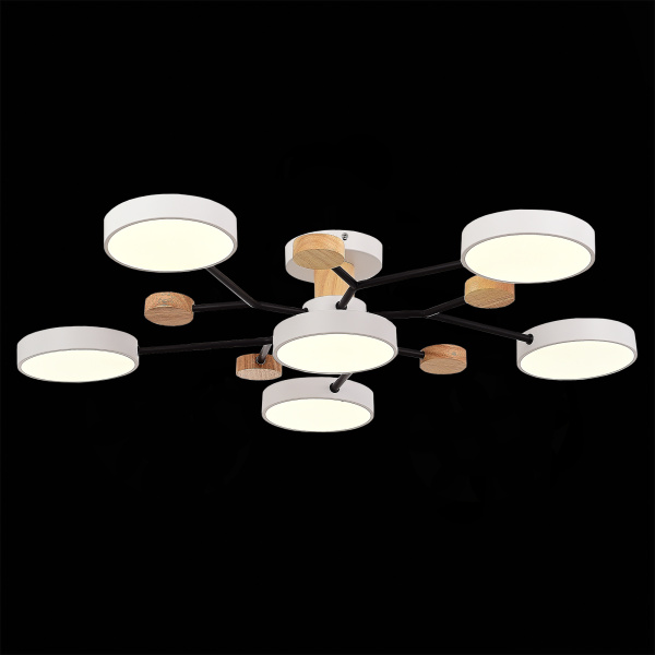 Потолочная светодиодная люстра Evoluce FAEMA SLE6006-502-06
