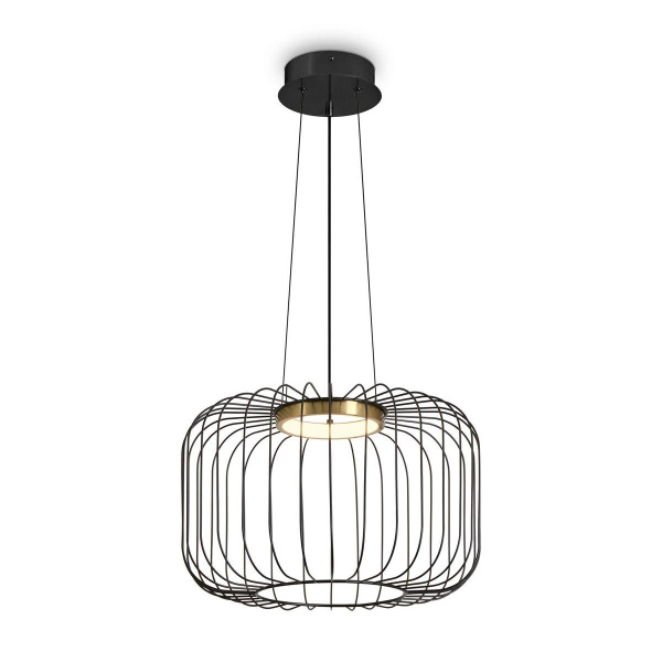 Подвесной светодиодный светильник Freya Citrus FR5398PL-L8B