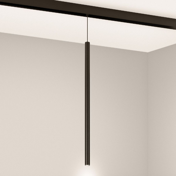 Трековый светильник Arlight MAG-ORIENT-SPOT-HANG-L500-R20-3W Warm3000 046897