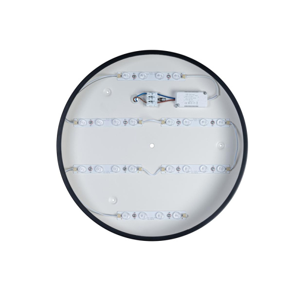 10002/24 Black Светильник потолочный LOFTIT Axel, шт