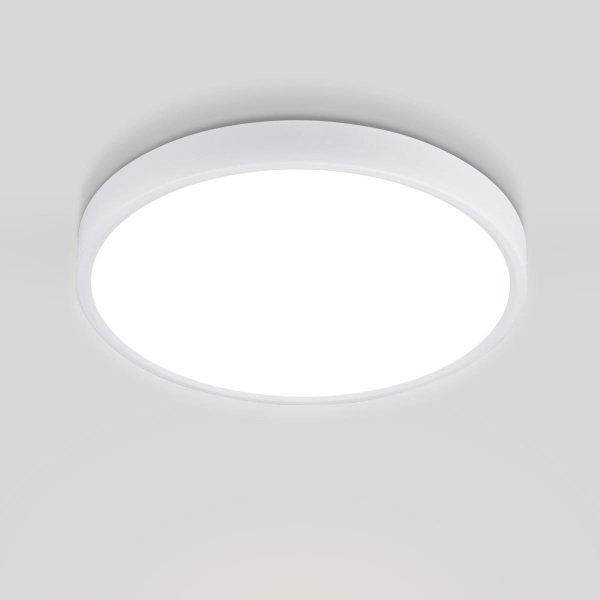 Потолочный светодиодный светильник Elektrostandard DLR034 24W 4200K a043016